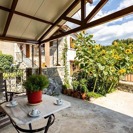 Stemnitsa Stone Residence - Cosy Mountain Escape المظهر الخارجي الصورة