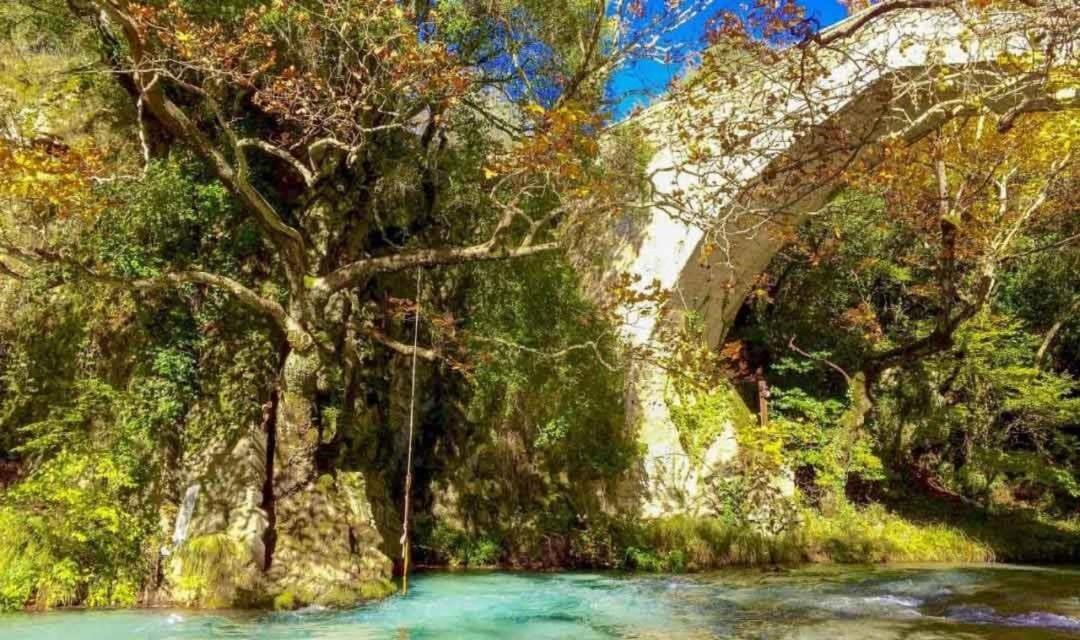 Stemnitsa Stone Residence - Cosy Mountain Escape المظهر الخارجي الصورة